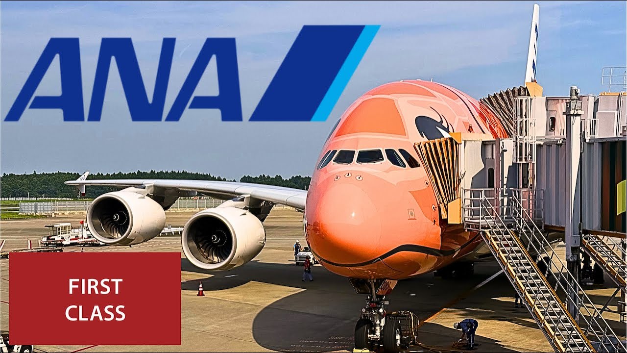 A Dream Flight on the Airbus A380- 