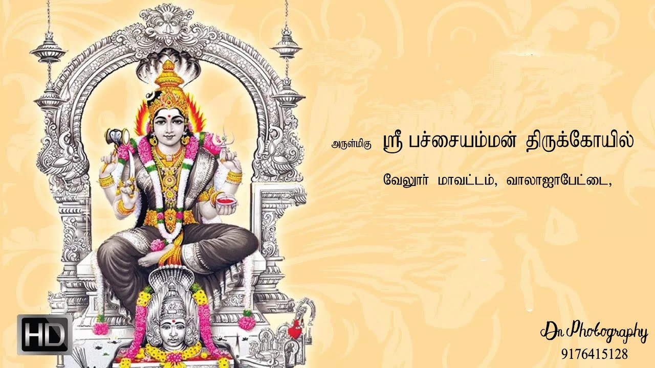 Walajapet Pachaiamman kovil  ஸ்ரீ பச்சையம்மன் கோயில் திருவிழா | DN Photography  #walajapet
