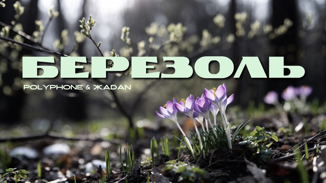 POLYPHONE & ЖADAN 🎧 Березоль