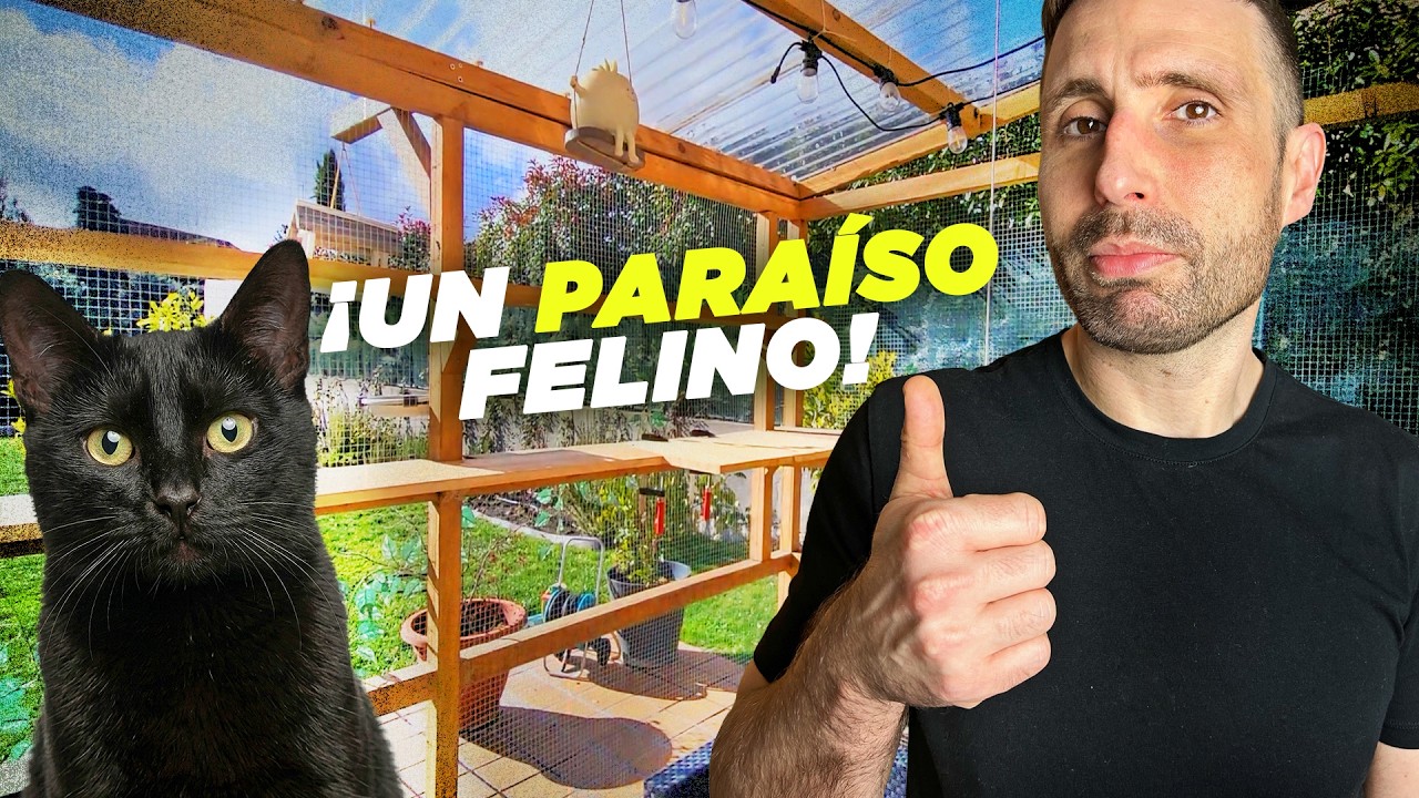&iexcl;El CATIO m&aacute;s incre&iacute;ble y CASAS GATIFICADAS de muchos estilos! 🏠😺Ideas reales de CASAS DE SEGUIDORES