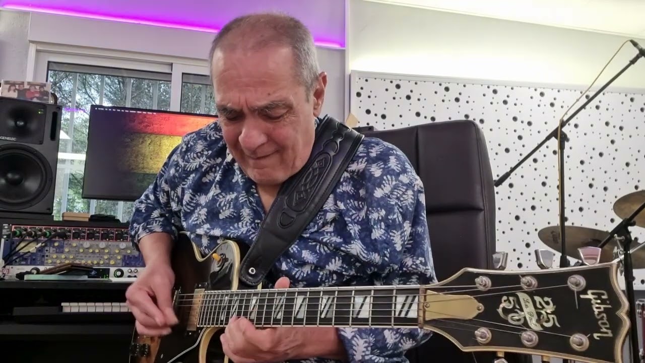 Take 5 New York Ska Jazz Ensemble solo guitar