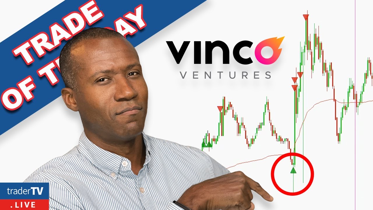 HUGE PRICE DROP AFTER VINCO VENTURES BIG ANNOUNCEMENT | BBIG
