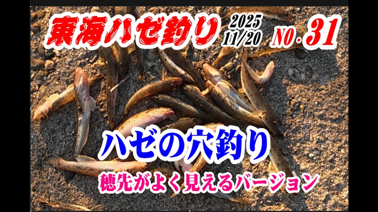 ハゼの穴釣り　今回穂先もよく映っていてアタリが見やすいです　2025年東海ハゼ釣り31
