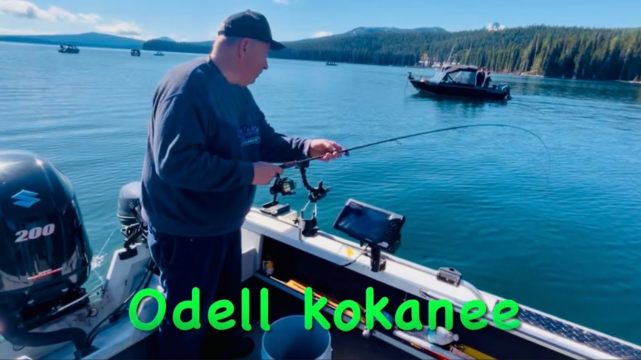 Odell lake Kokanee jig bite …..