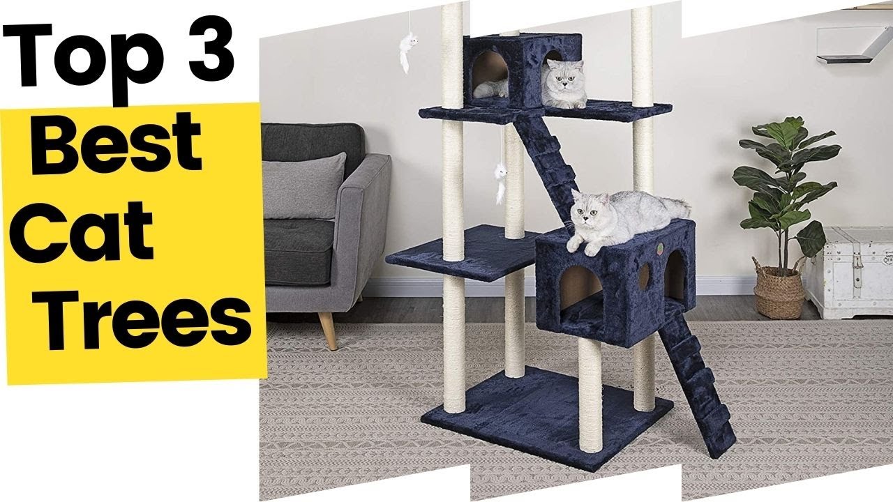 Best Cat Trees For Small Spaces in 2023