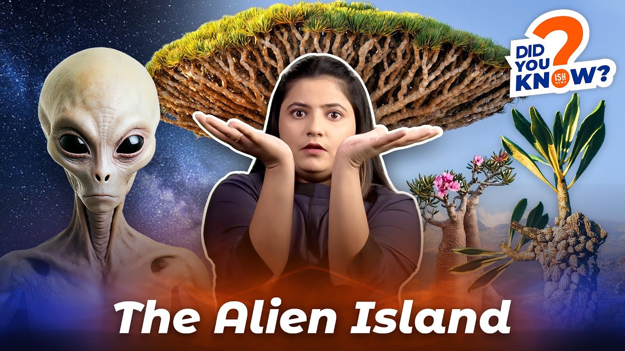 Socotra - the Alien Island | Did You Know | ISH News
