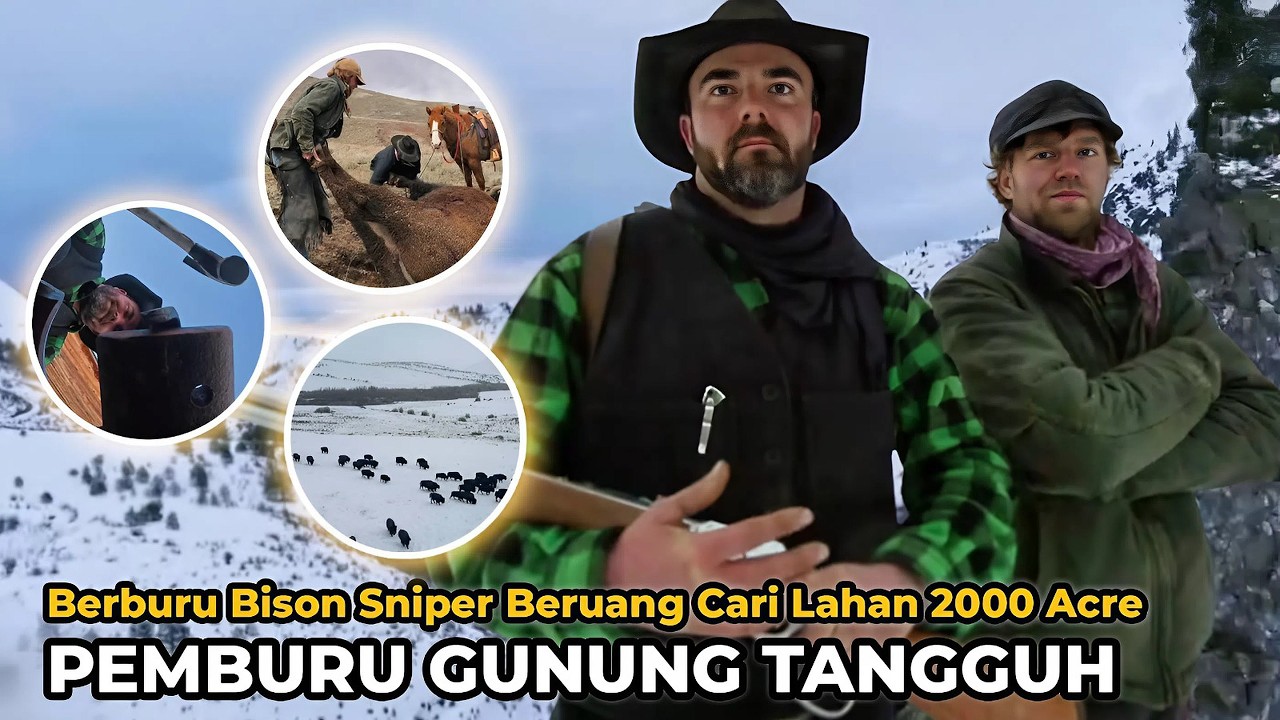 Pria Gunung Tangguh Berburu Bison Menembak Beruang Cari Lahan 2000 Acre | Nafas Liar