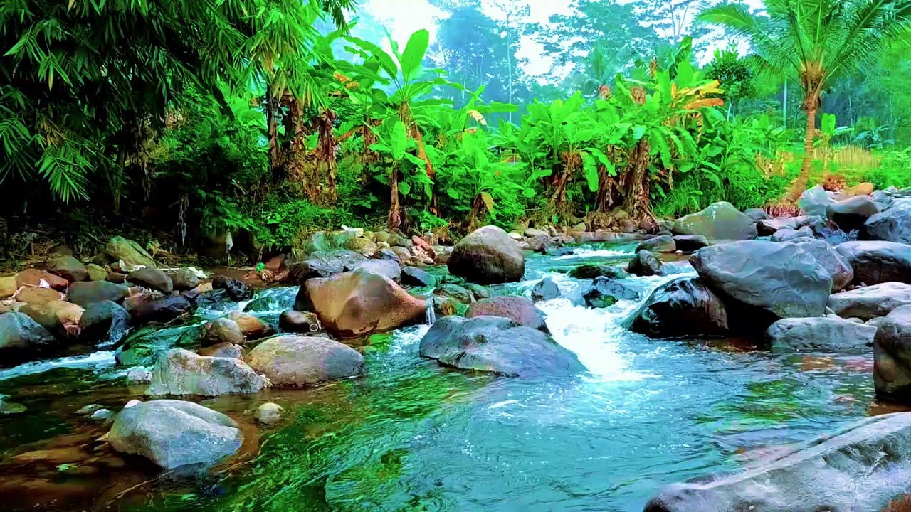 Calm Forest River Ambience for Relaxation, Meditation, and Focus