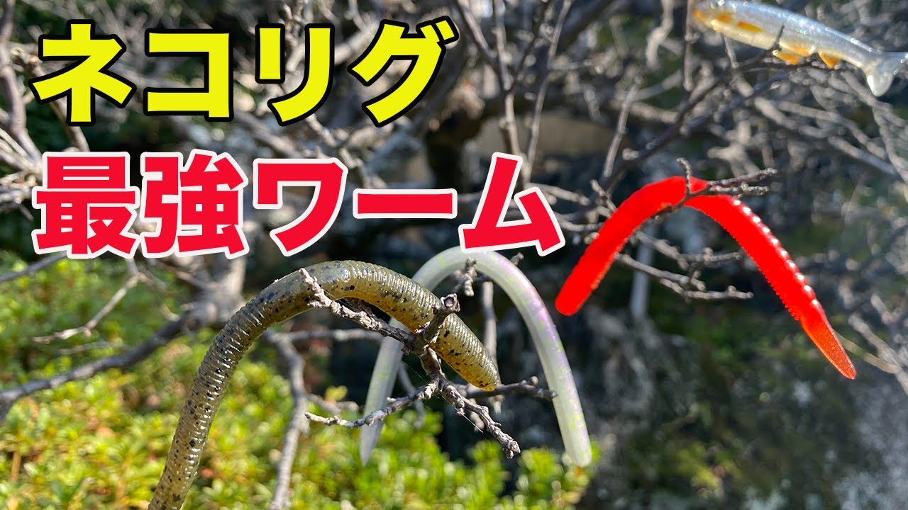 【バス釣り】ネコリグのワーム人気ランキング!!初心者におすすめ最強ワームを紹介していく!![スワンプクローラー][釣れる][当社比][金森隆志][岡友成][バス釣りJAPANちゃんねる]