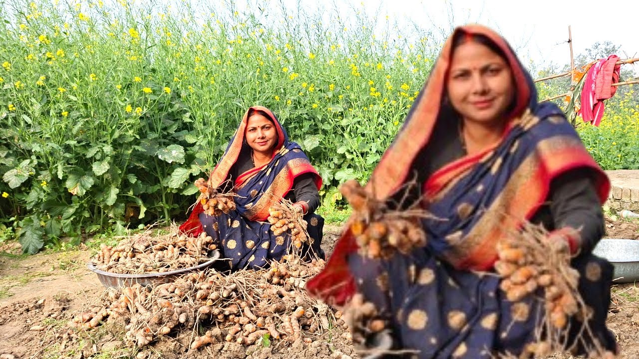 ठंडी हो या गर्मी काम अपनी जगह फिक्स होता हैं | आज खेतोँ से हल्दी निकाल लिए | Abha Village Ki Duniy.