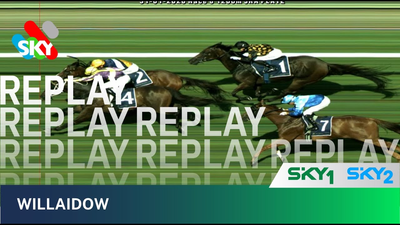 WILLAIDOW WINS AT ROSEHILL