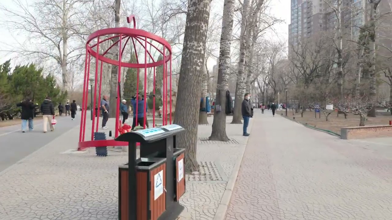 北京初春的早上红领巾公园晨练的老百姓们In the early spring morning people are doing morning exercises