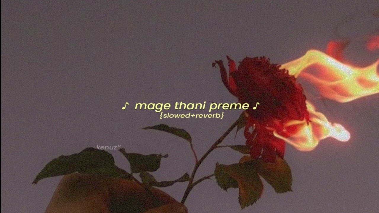 මම කෙරු මගේ තනි ප්‍රෙමේ  {slowed+reverb}