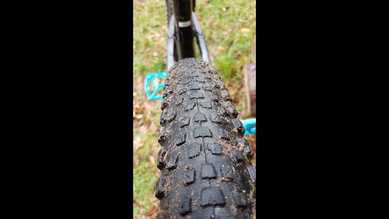MTB Reifen Review - Maxxis vs. Wolfpack