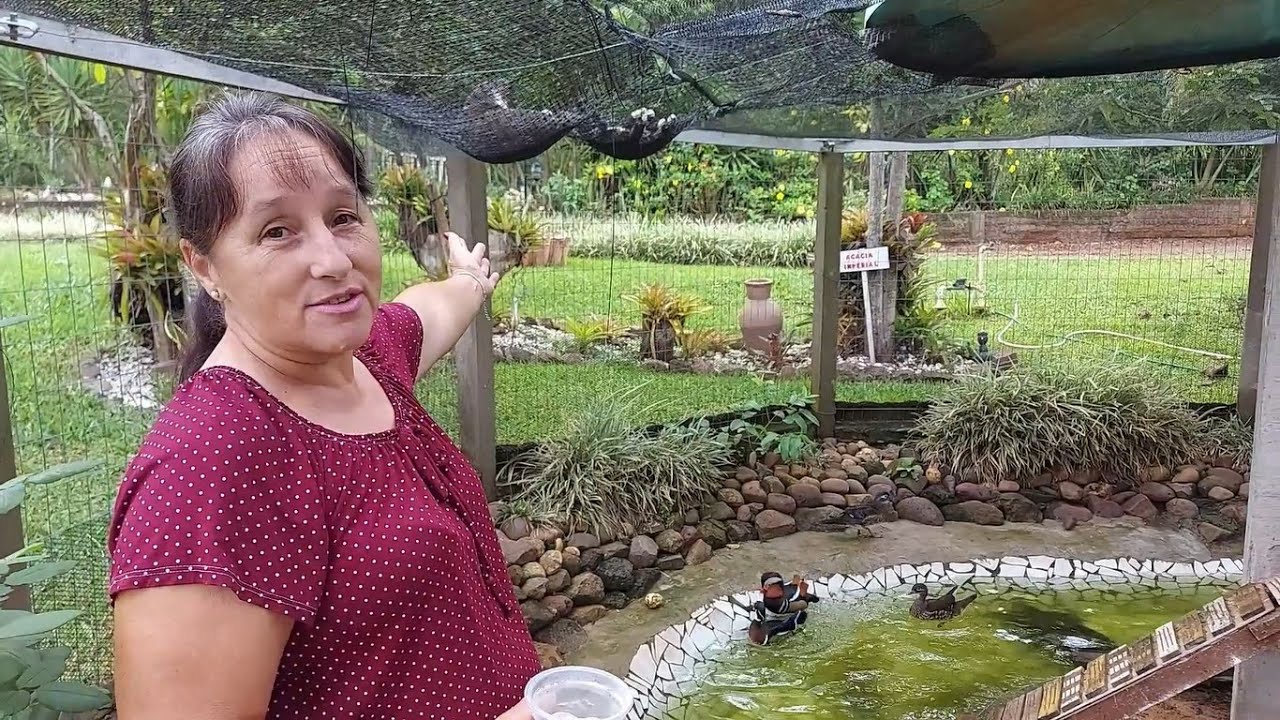 SAIBA COMO DEIXAR A ÁGUA DO LAGO ARTIFICIAL LIMPA SEM QUÍMICOS