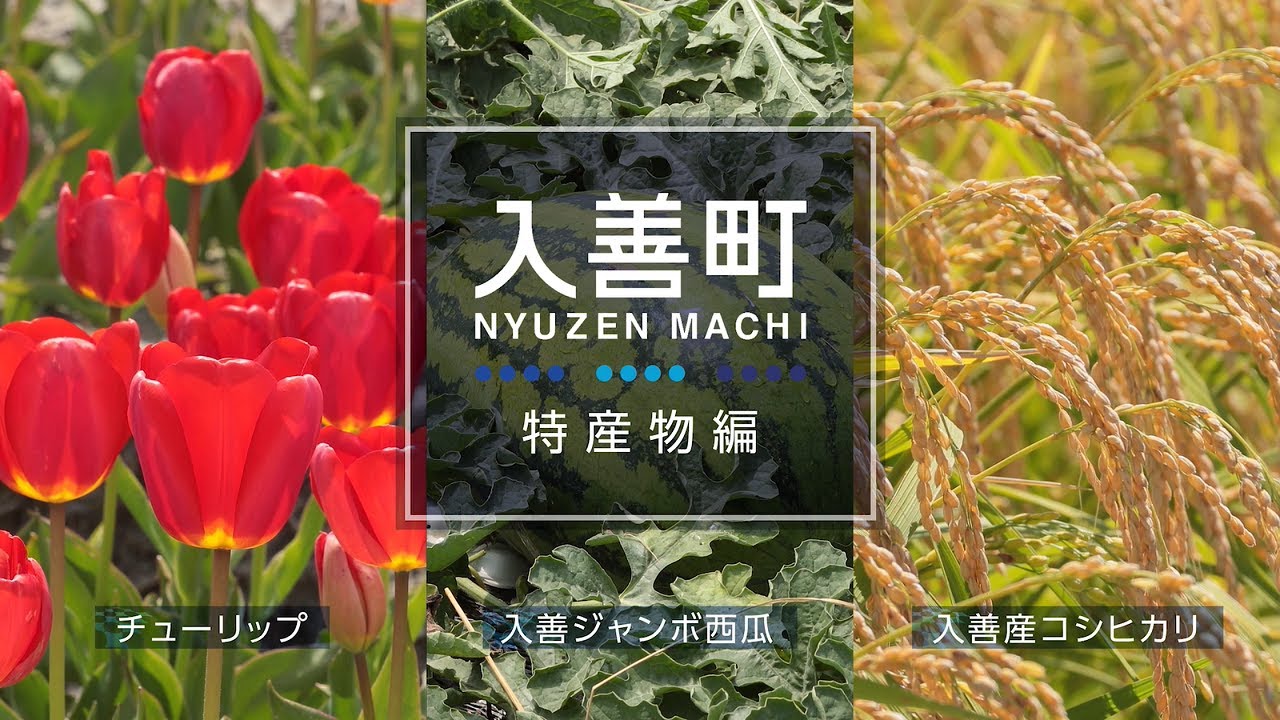 【映像1作目】入善町の特産物編