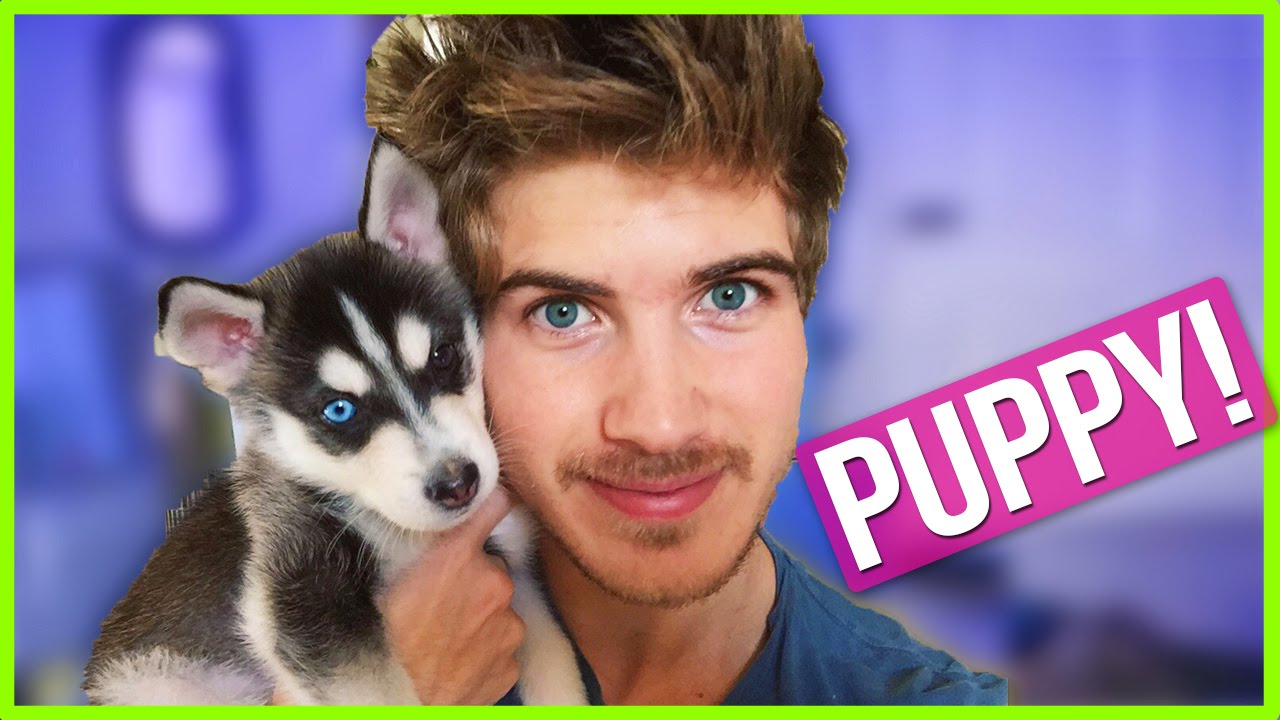 I GOT A PUPPY!