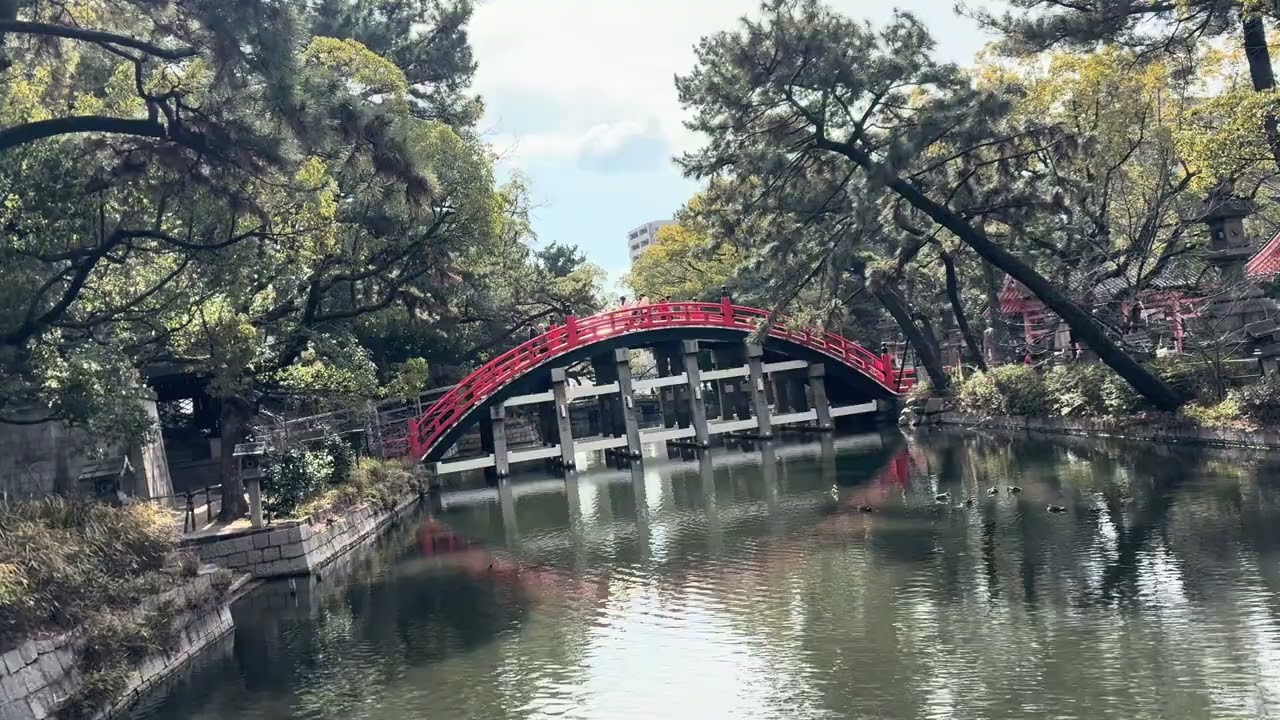 2026年2月9日 住吉大社 反橋