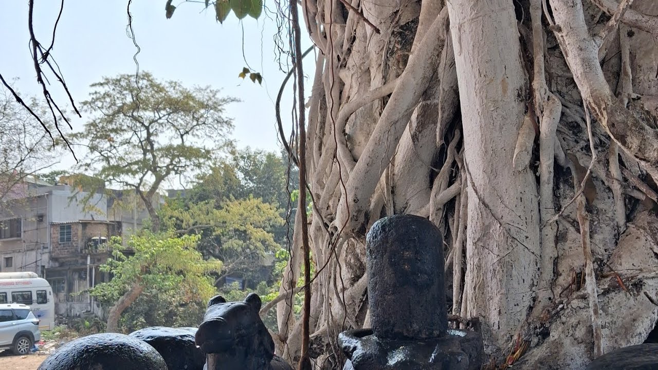 খুব তাড়াহুড়ো করে সব কাজ সারলাম 🧡🧡🧡 #Sreeersangsar #vlogvideo 