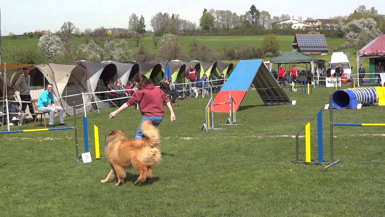 Maja & Aristo A2 2016 04 30