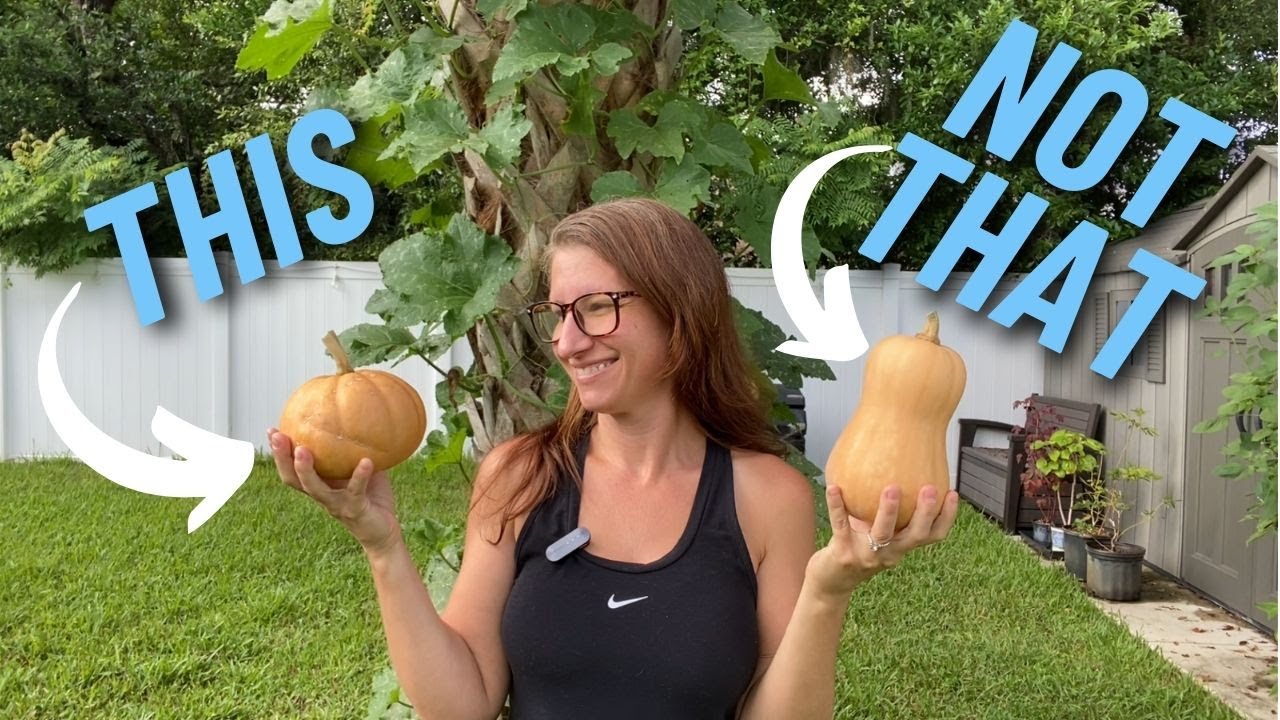 Grow This Not That: 10 Tropical Alternatives That Actually Taste Good