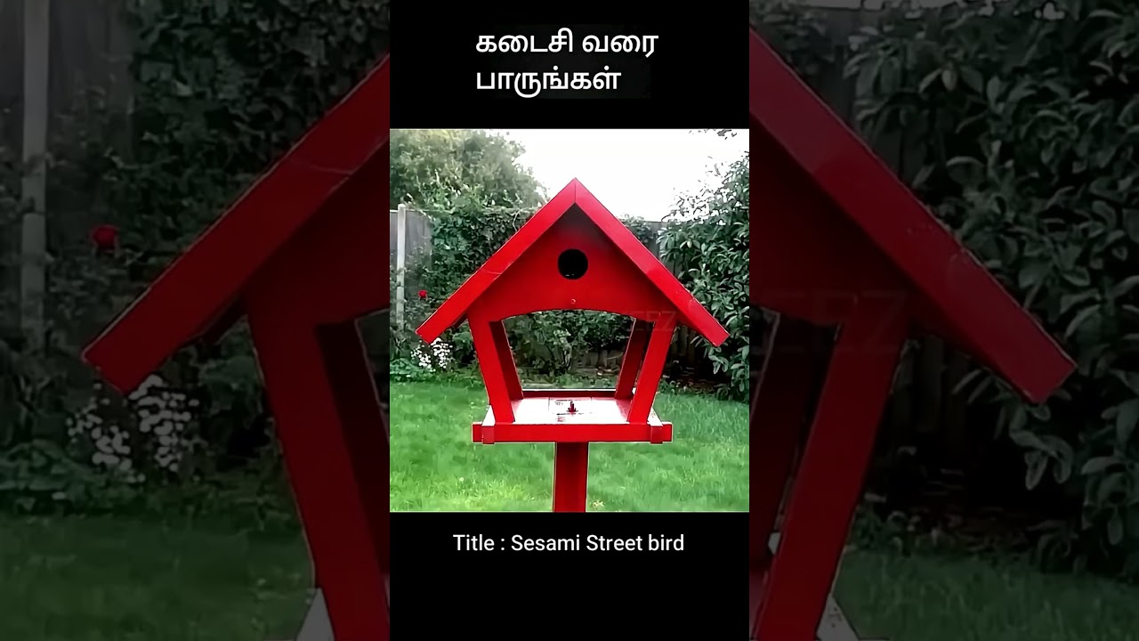 கடைசி வரை பாருங்கள் | movie explanation | movie explanation in tamil | movie explained | #shorts