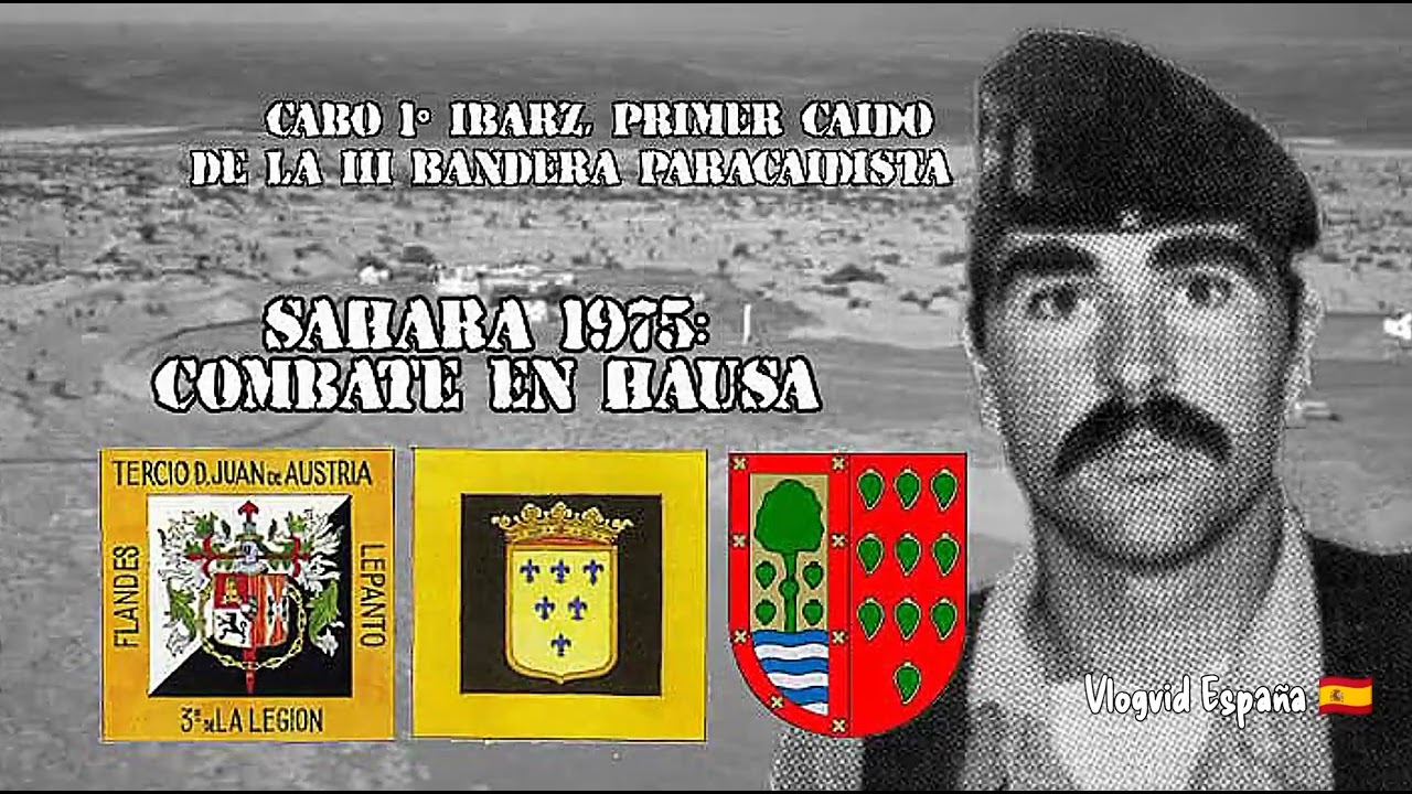Diario de un Soldado 