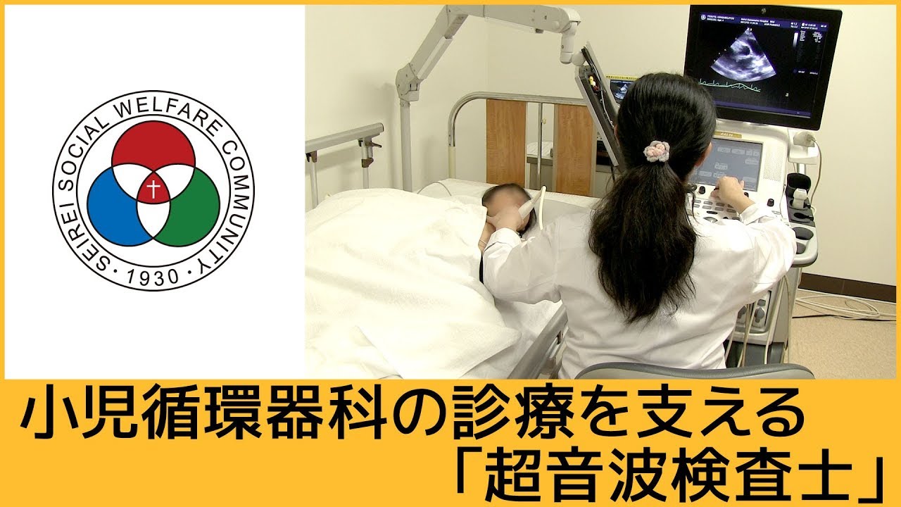 「臨床検査部」小児循環器科の診療を支える超音波検査士【聖隷浜松病院】（白いまどNo.457）