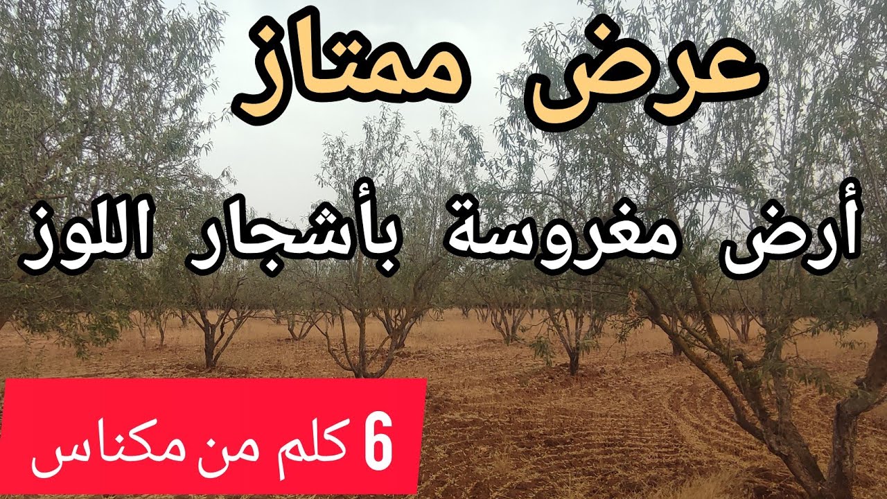 نواحي مكناس 7 كلم من مرجان أرض فلاحية ممتازة محفظة و مسيجة 0670964884☎️