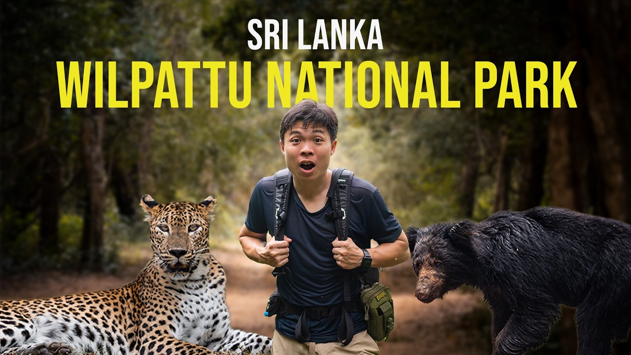 The BEST Sri Lanka Wildlife Experience - WILPATTU NATIONAL PARK