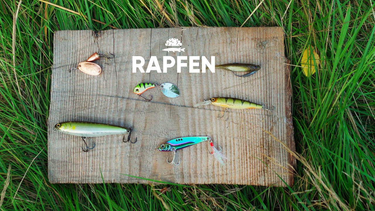 MEINE Lieblings-Rapfen-Köder!