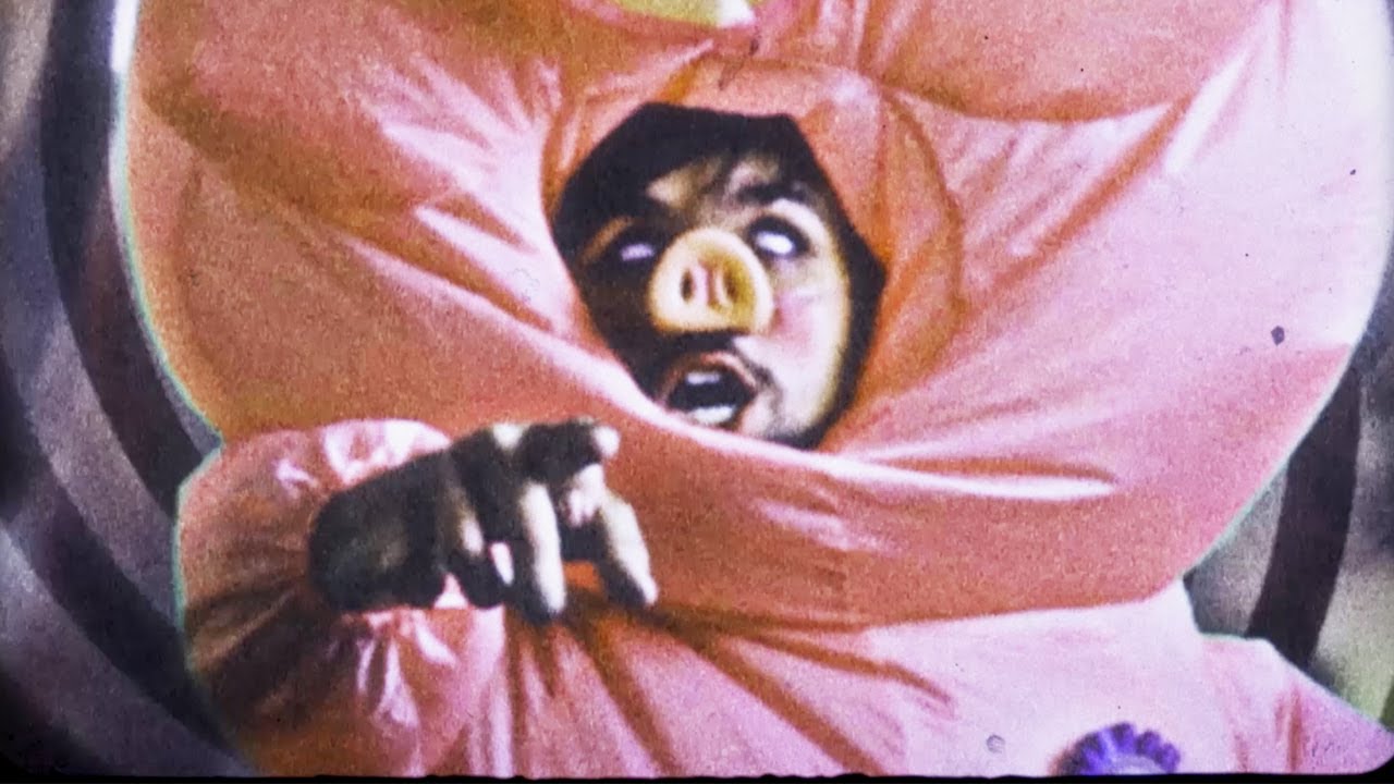 The Toxhards - Ængus, The Prize-Winning Hog