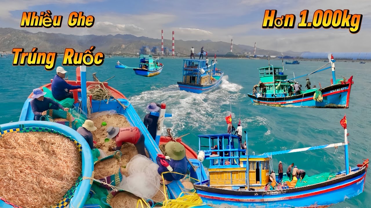 Trúng Đậm Hàng Tấn Ruốc Ngày Cuối Năm, Nhiều Ghe Ở Quê Cảnh Bội Thu Có Tiền Ăn Tết | Cảnh 86
