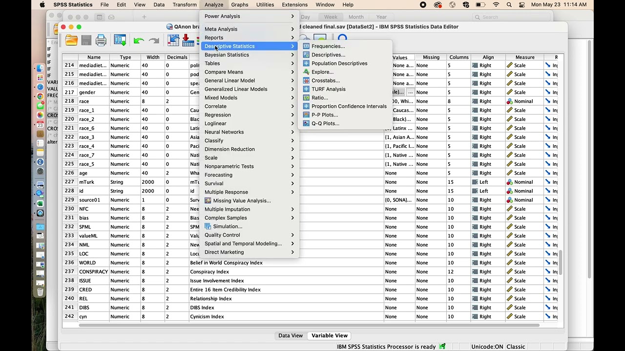 SPSS Frequency and Mean Procedures