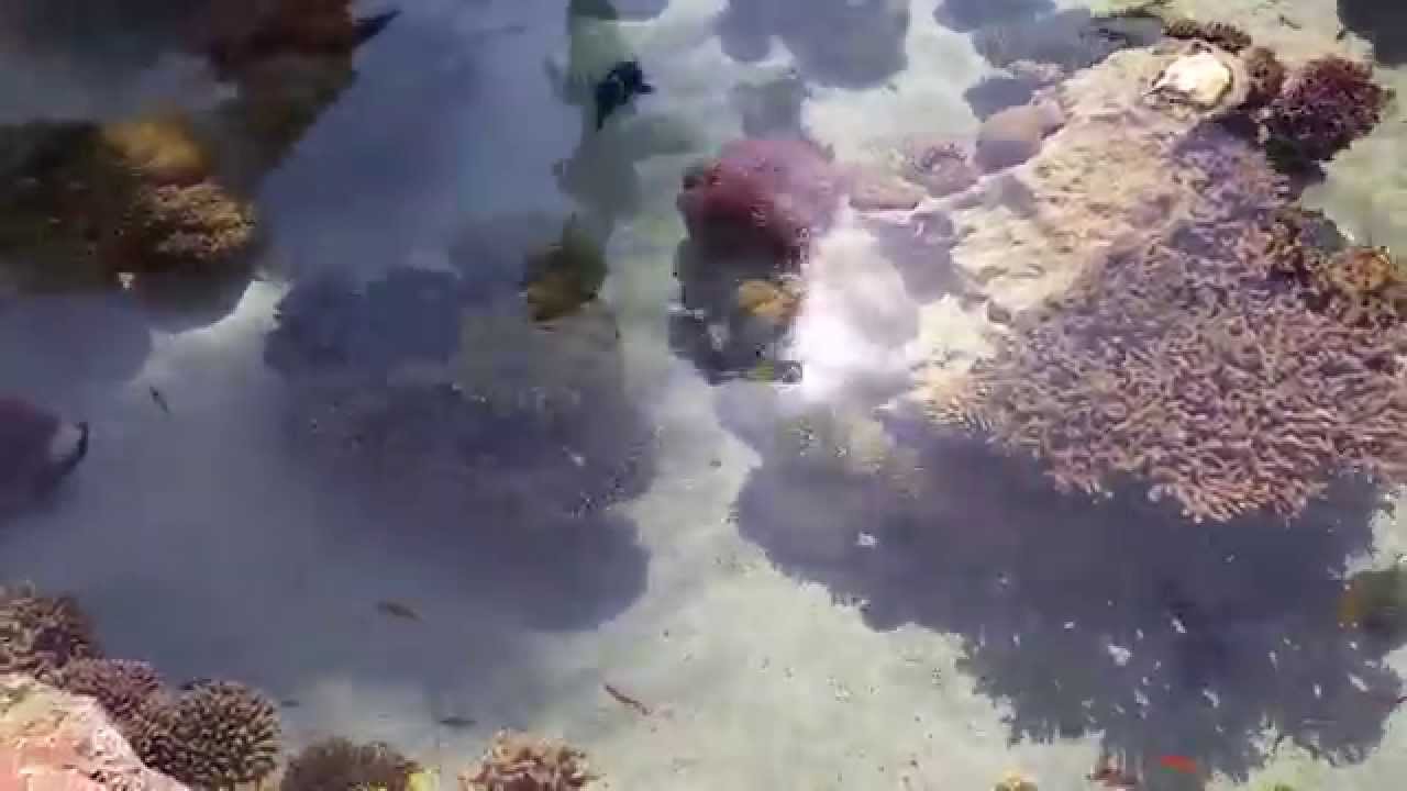 Coral Reef lagoon like you've never seen before,