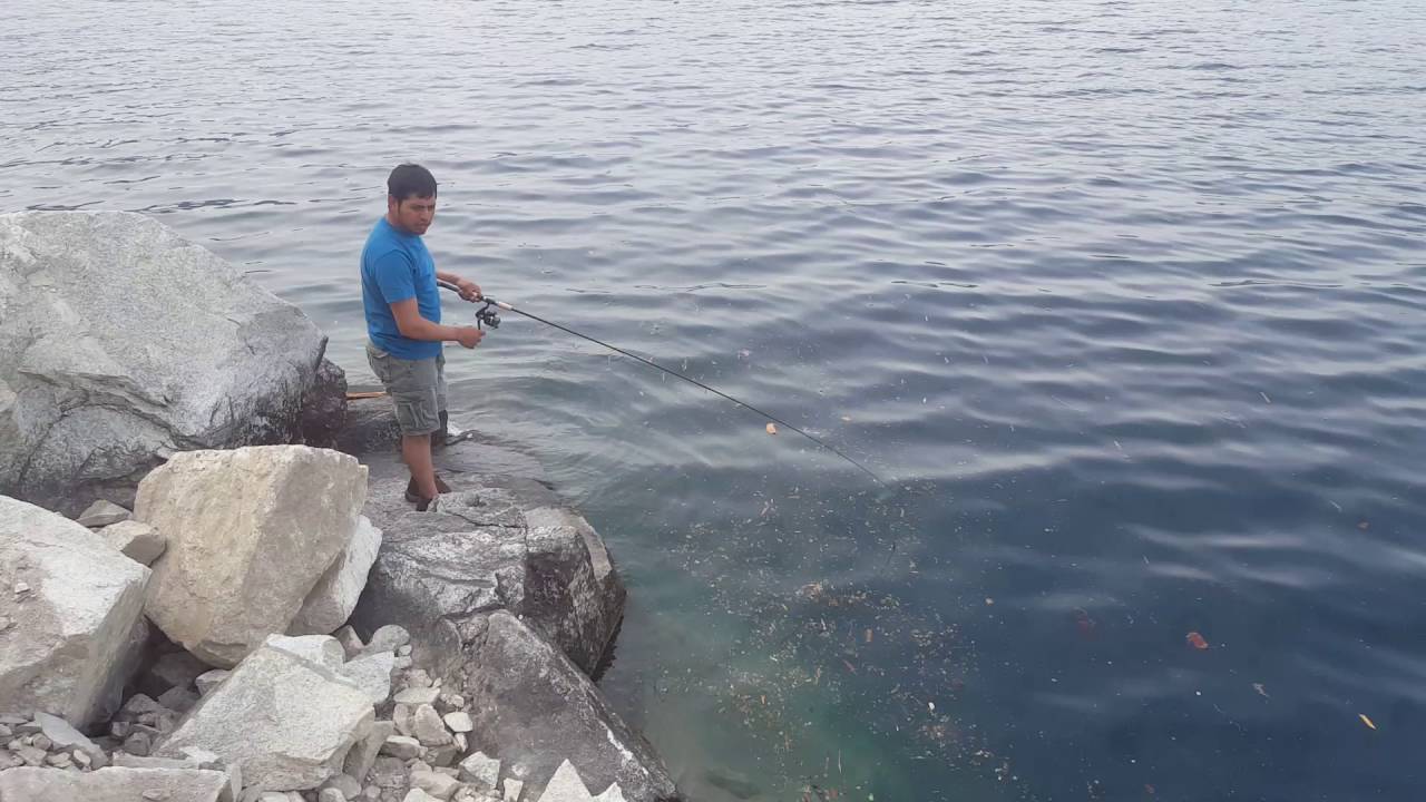 Fishing trout at lake Chelan