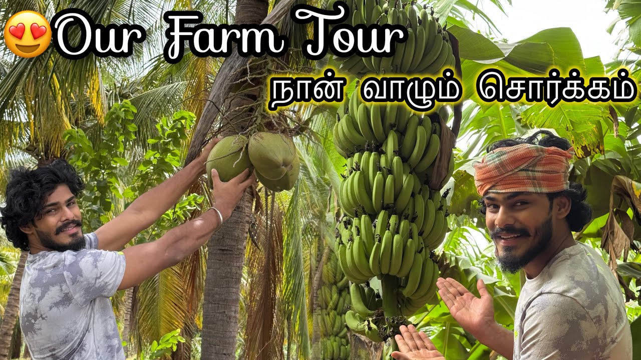 😍Our 7 acre Farm Tour | part - 02 | honey Comb | TTF | Tamil
