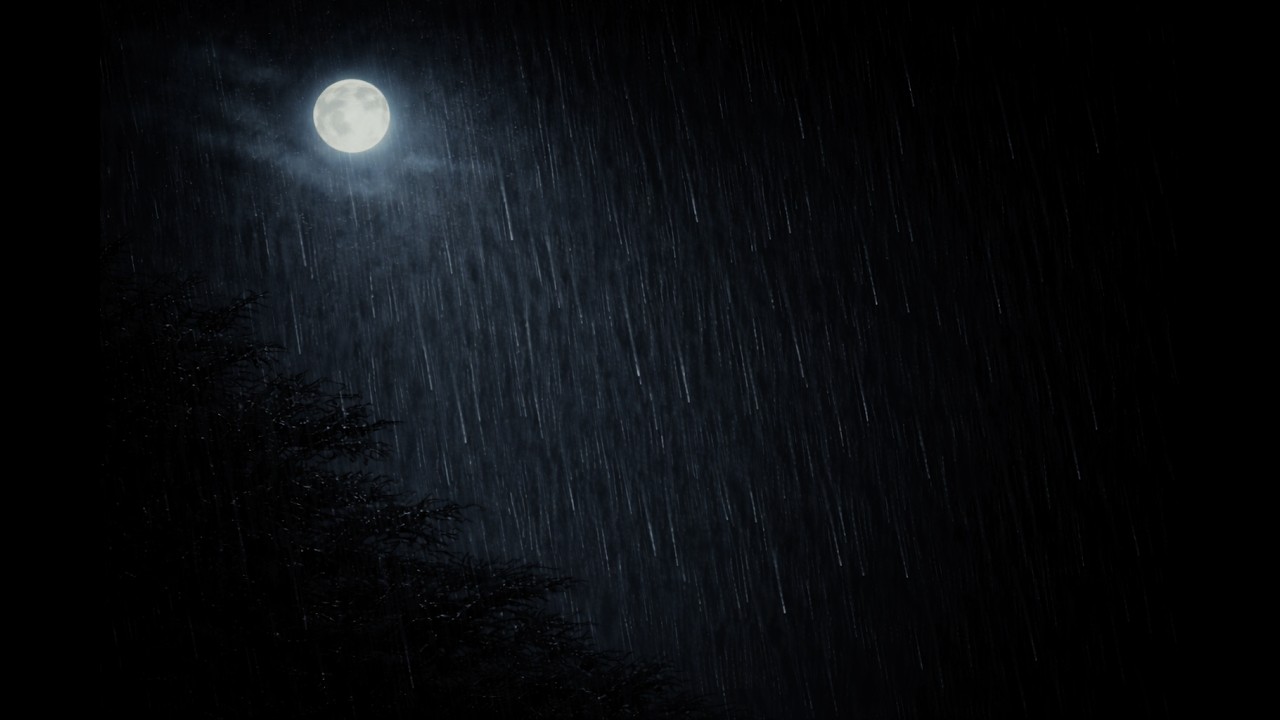 ☔️Moonlight Rain Sounds (8 Hours) | Instantly Fall Asleep, Relaxing Night Rain