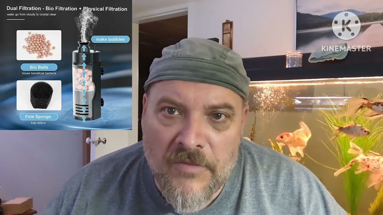 Honest Product Review of Hygger's 3 in 1 Internal Filter. What changes you can make to improve it.