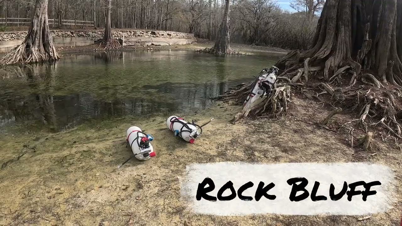 Rock Bluff Springs dive January 2026