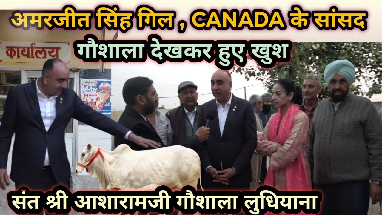 अमरजीत सिंह गिल canada के सांसद । गौशाला देखकर  हुए खुश संत श्री आशाराम जी गौशाला लुधियाना 