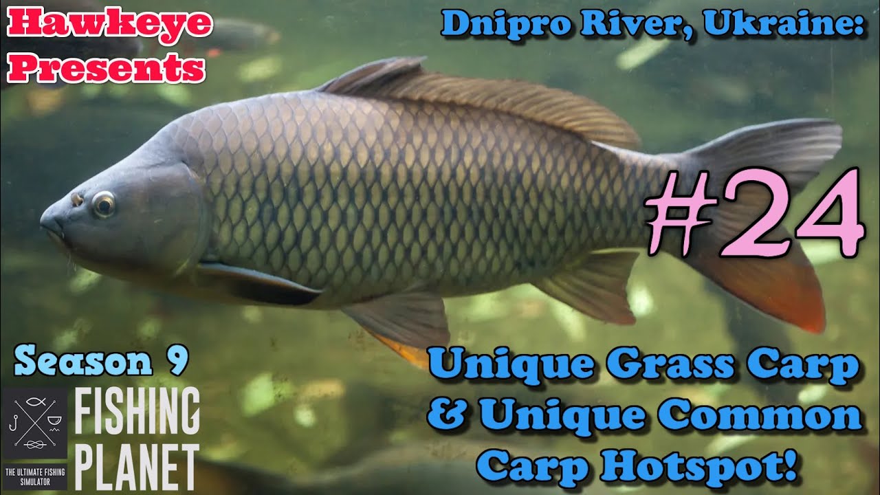 Fishing Planet S9 #24 - Dnipro River, Ukraine: Unique Grass Carp & Unique Common Carp Hotspot!
