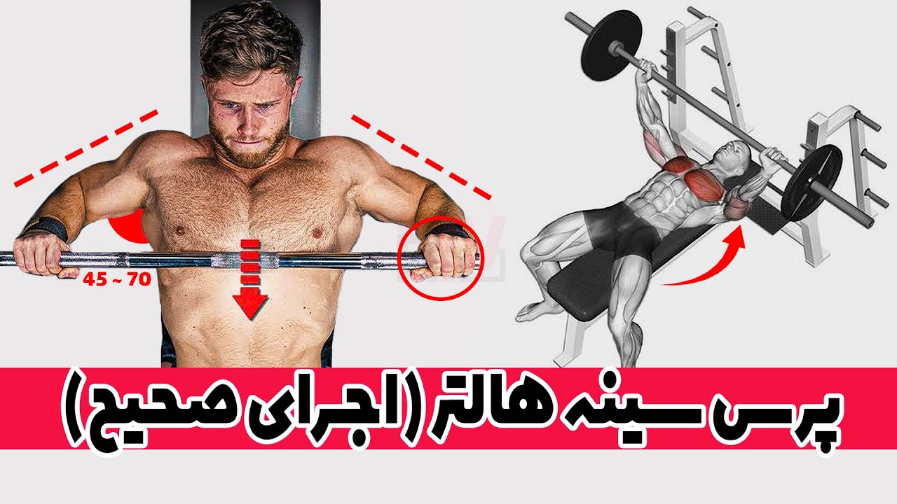 پرس سینه هالتر (اجرای صحیح)