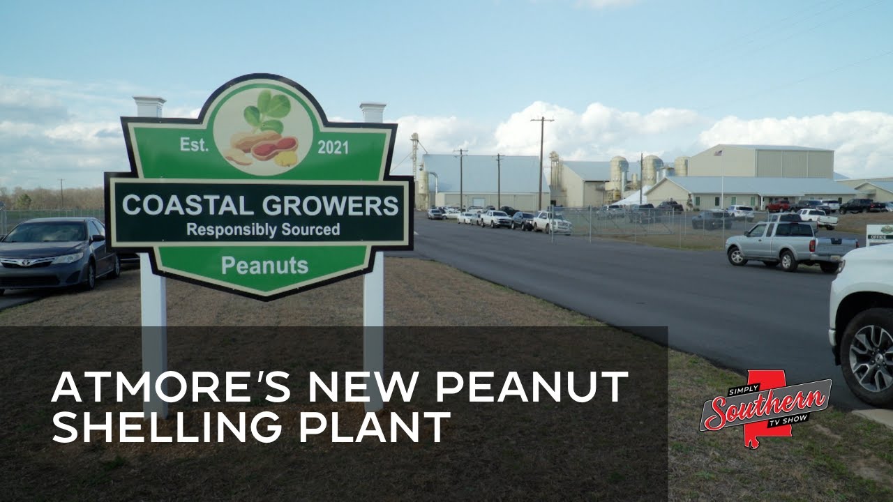 Show 811C New Peanut Shelling Plant