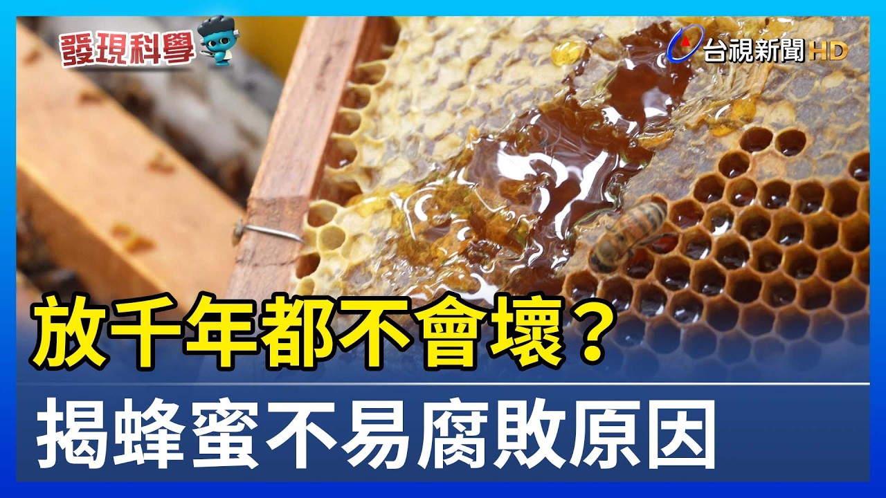 放千年都不會壞？ 揭蜂蜜不易腐敗原因【發現科學】