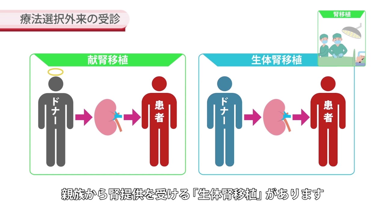 血液透析、腹膜透析、腎臓移植をどうやって選ぶか