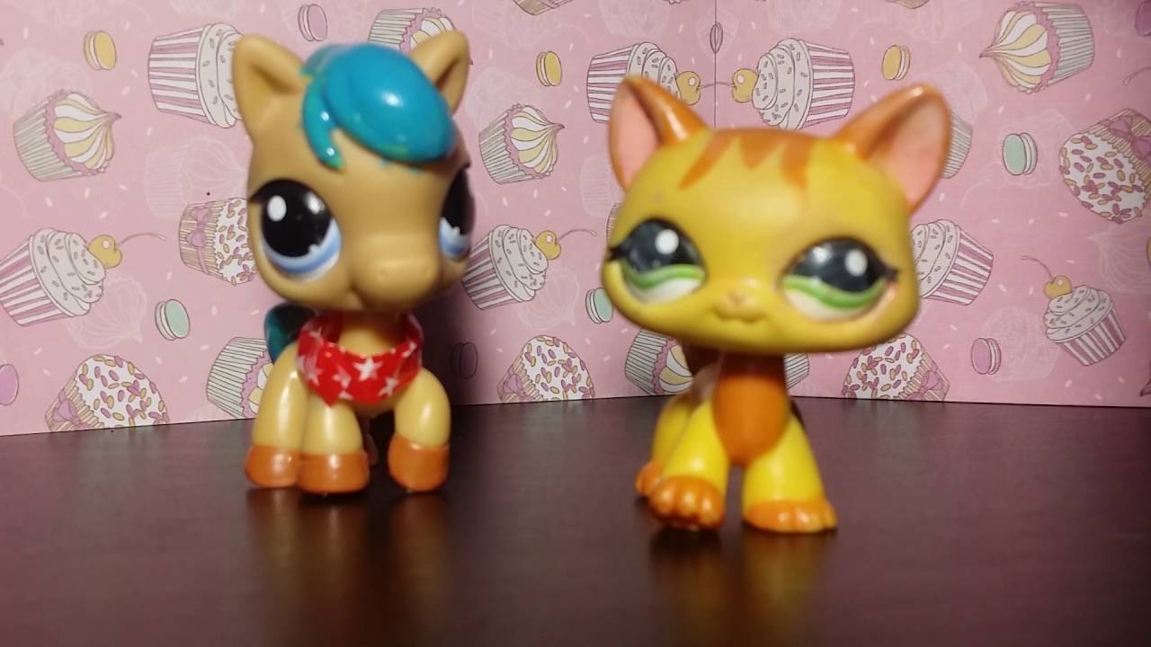 Kissa petshopin ja ufo petshopin kysymyshetki
