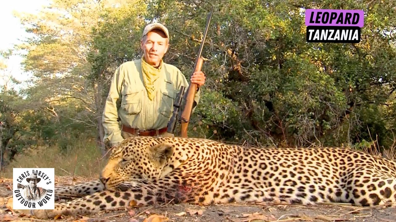 Father & Son Hunt Leopard in Tanzania