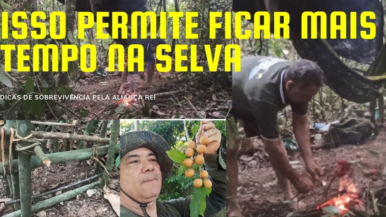 UMA ESTRATÉGIA de SOBREVIVÊNCIA Para escapar se tiver PERDIDO.