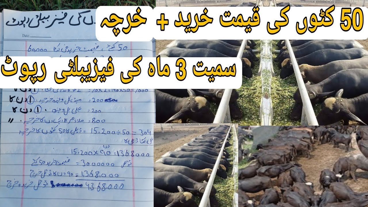 How to Start Katta Farming | Katta Farming | Katta Farming in Pakistan | Farming tips | Farming idea